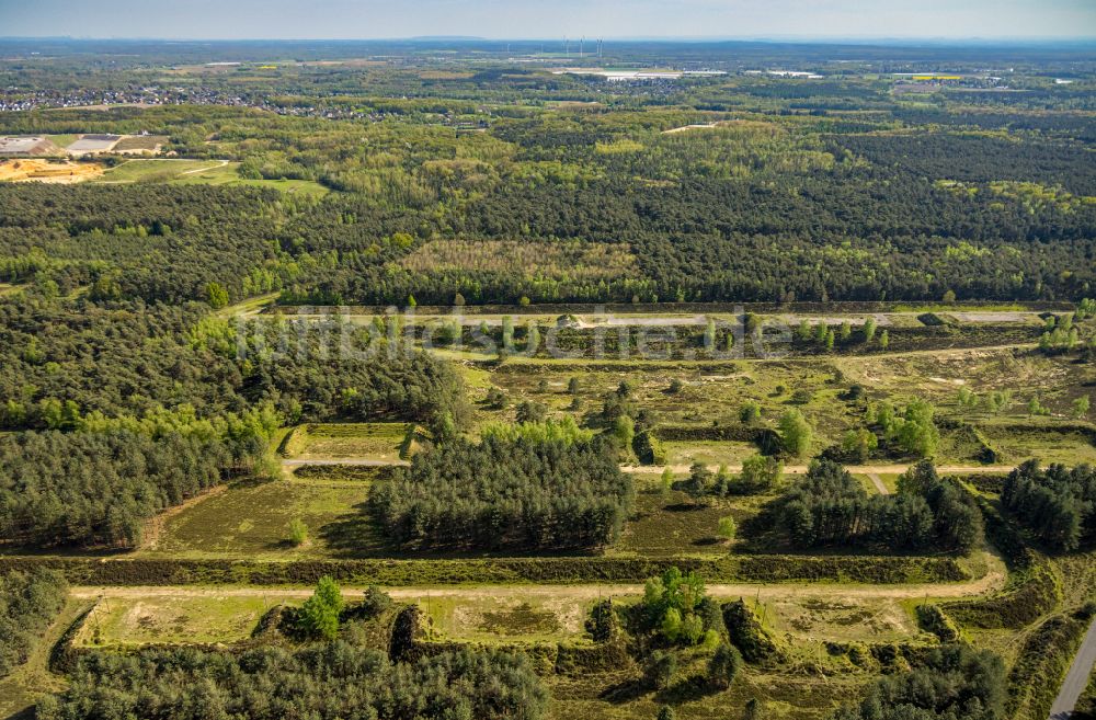 Luftbild Brüggen - Verlassener Bunker- Gebäudekomplex und Munitionsdepots in einem Waldgebiet des Naturschutzgebiet NSG Brachter Wald in Brüggen im Bundesland Nordrhein-Westfalen, Deutschland