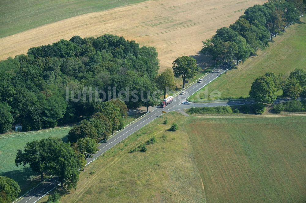 Luftbild Rehfelde - Verlauf der Straßenkreuzung der Bundesstraße B1/B5 und der Landesstraße L385 in Rehfelde im Bundesland Brandenburg