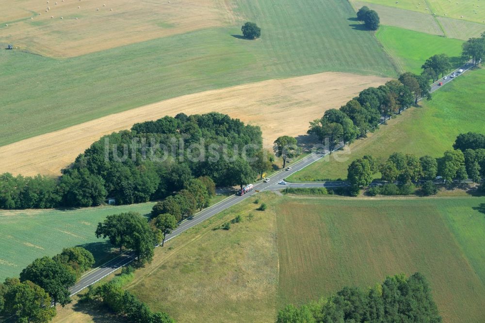 Luftaufnahme Rehfelde - Verlauf der Straßenkreuzung der Bundesstraße B1/B5 und der Landesstraße L385 in Rehfelde im Bundesland Brandenburg