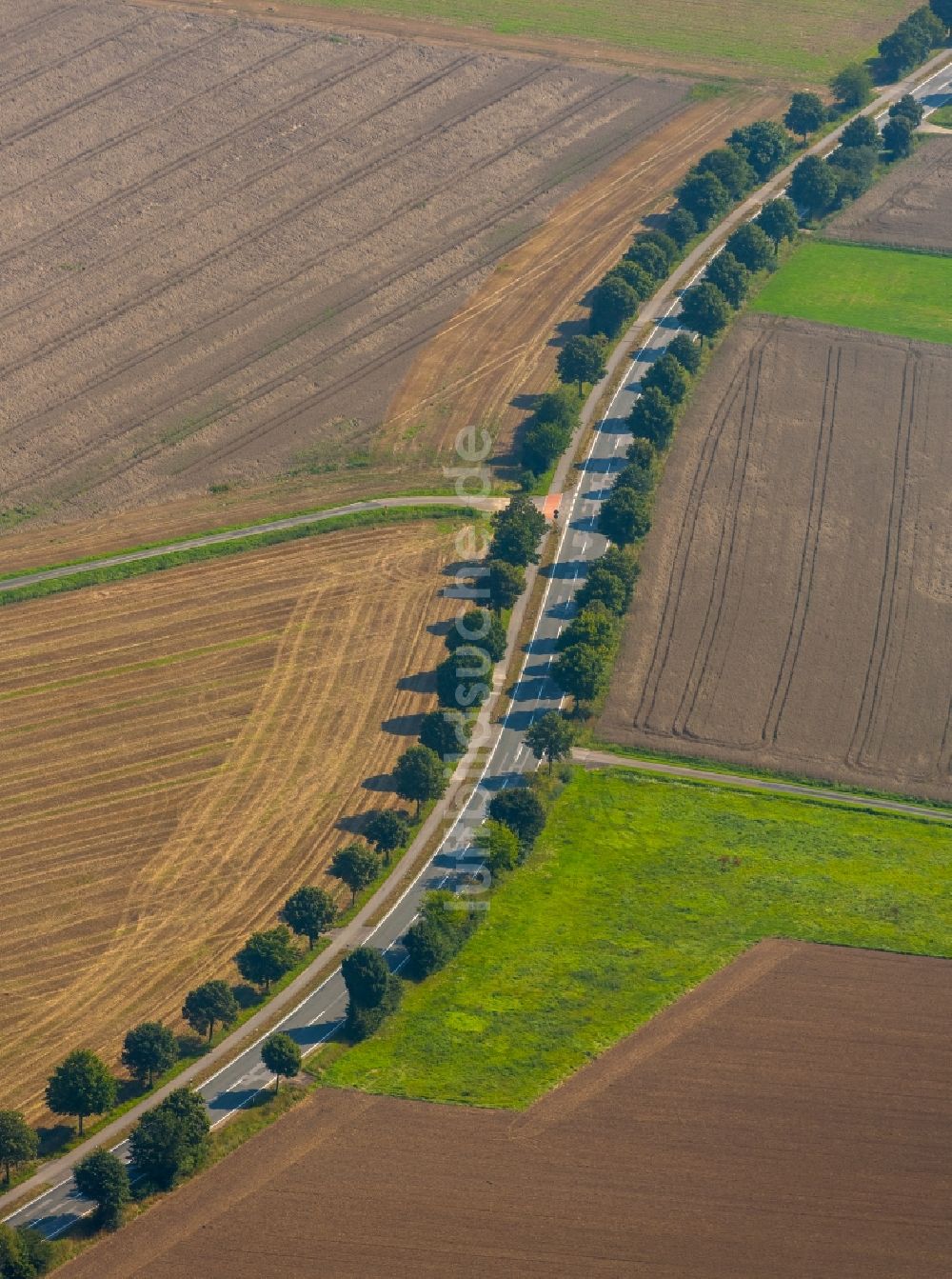 Luftaufnahme Werfen - Verlauf der Straßenkreuzung in Werfen im Bundesland Nordrhein-Westfalen