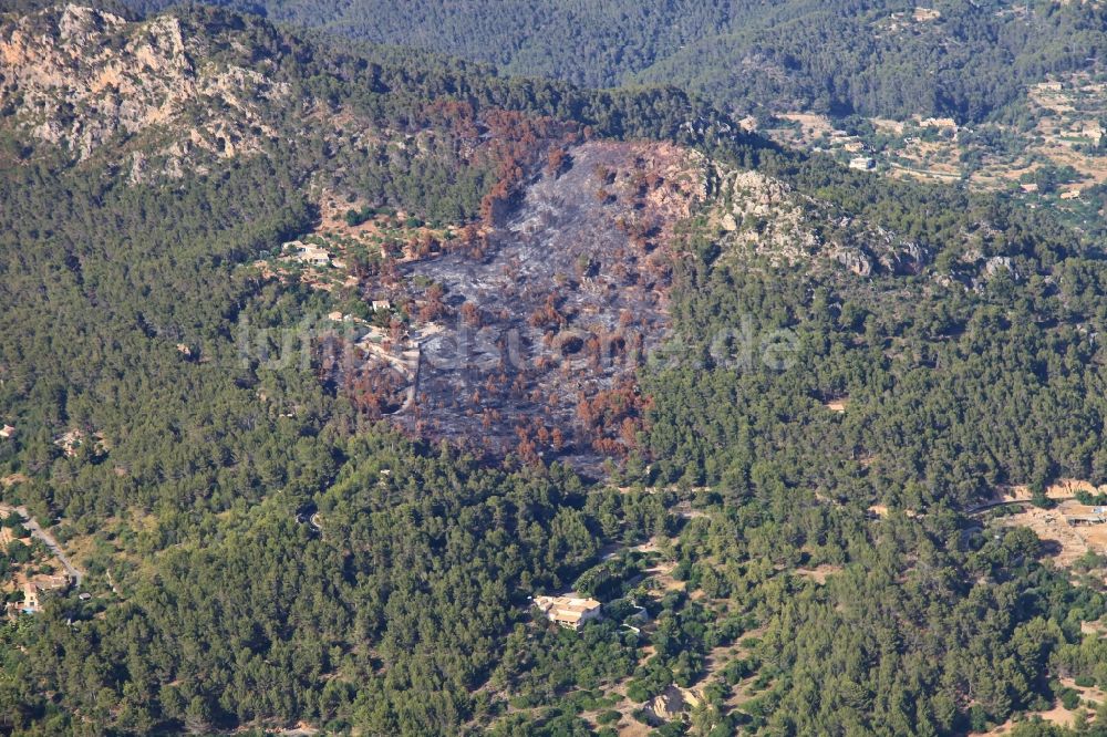 Luftaufnahme Andratx - Vernichteter Baumbestand in einem Waldgebiet in Andratx in Mallorca auf der balearischen Mittelmeerinsel Mallorca, Spanien