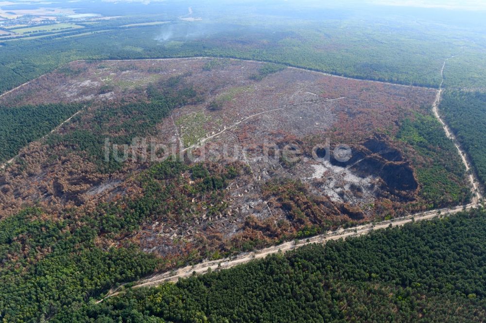 Klausdorf von oben - Vernichteter Baumbestand in einem Waldgebiet in Klausdorf im Bundesland Brandenburg, Deutschland