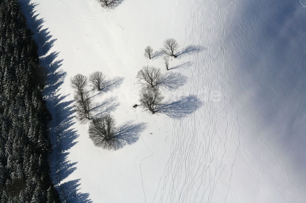 Aitern von oben - Verschneite Landschaft in Aitern im Bundesland Baden-Württemberg