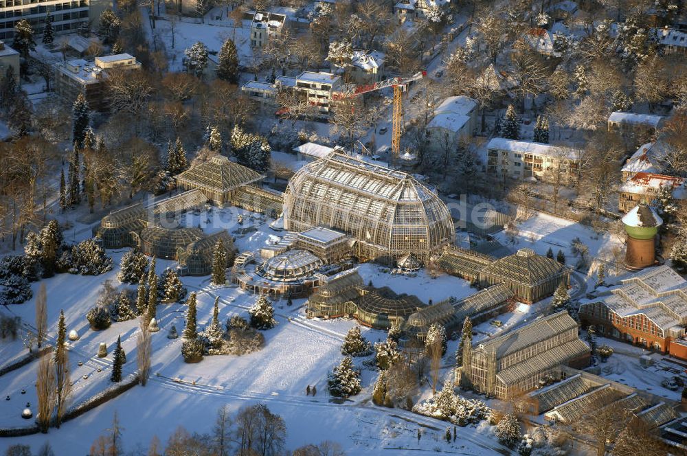 Luftaufnahme Berlin - Verschneite Winterlandschaft bei den Sanierungsarbeiten des Botanischen Garten Berlin-Dahlem