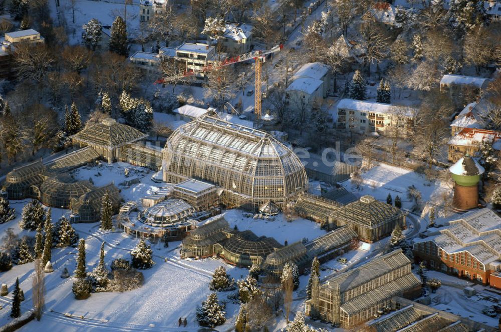 Berlin von oben - Verschneite Winterlandschaft bei den Sanierungsarbeiten des Botanischen Garten Berlin-Dahlem