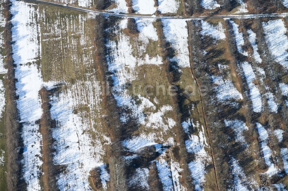 Fladungen von oben - Verschneites Feld im Winter bei Fladungen im Bundesland Bayern