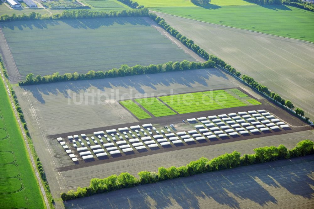 Luftaufnahme Emersleben - Versuchs- Feldreihen eines Landwirtschaftsbetriebes bei Emersleben in Sachsen-Anhalt