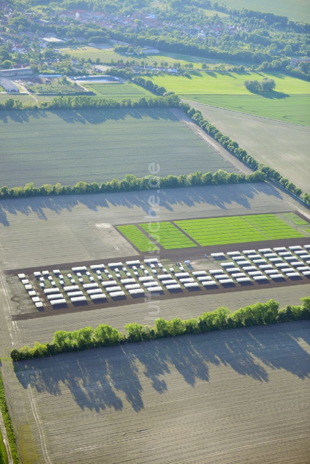 Emersleben von oben - Versuchs- Feldreihen eines Landwirtschaftsbetriebes bei Emersleben in Sachsen-Anhalt