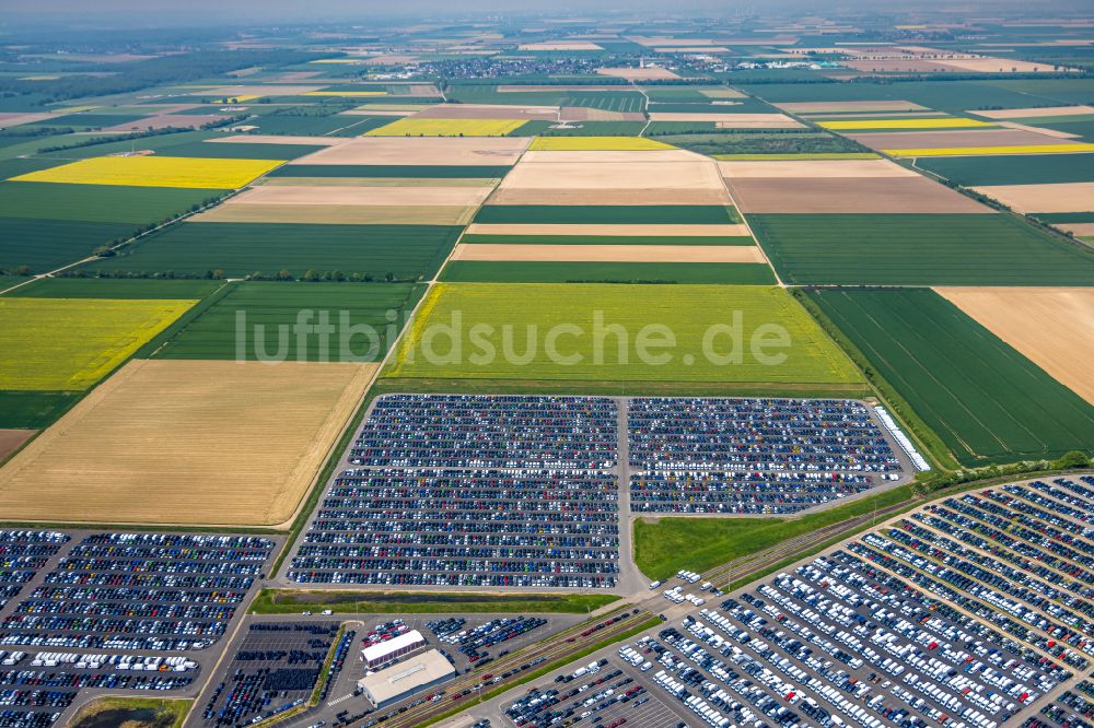 Zülpich aus der Vogelperspektive: Verteilzentrum auf dem Gelände der CAT Germany GmbH in Zülpich im Bundesland Nordrhein-Westfalen, Deutschland