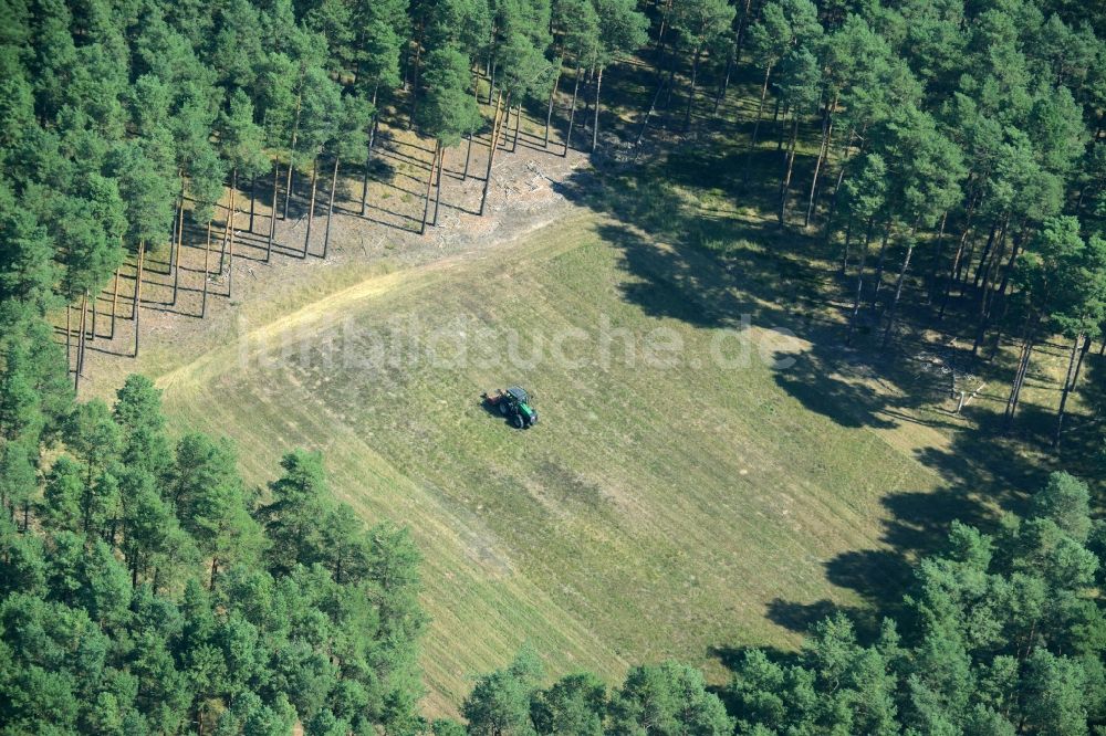 Spreenhagen von oben - Viereckige Grasflächen- Strukturen einer Feld- und Wiesen- Landschaft im Wald bei Spreenhagen im Bundesland Brandenburg