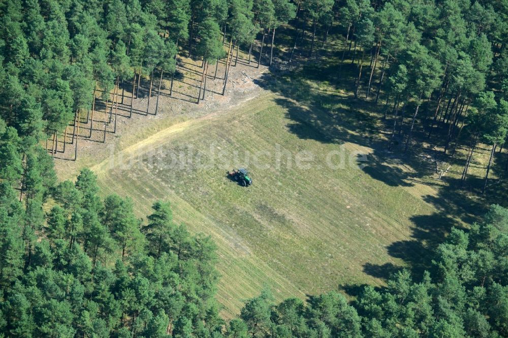 Spreenhagen von oben - Viereckige Grasflächen- Strukturen einer Feld- und Wiesen- Landschaft im Wald bei Spreenhagen im Bundesland Brandenburg