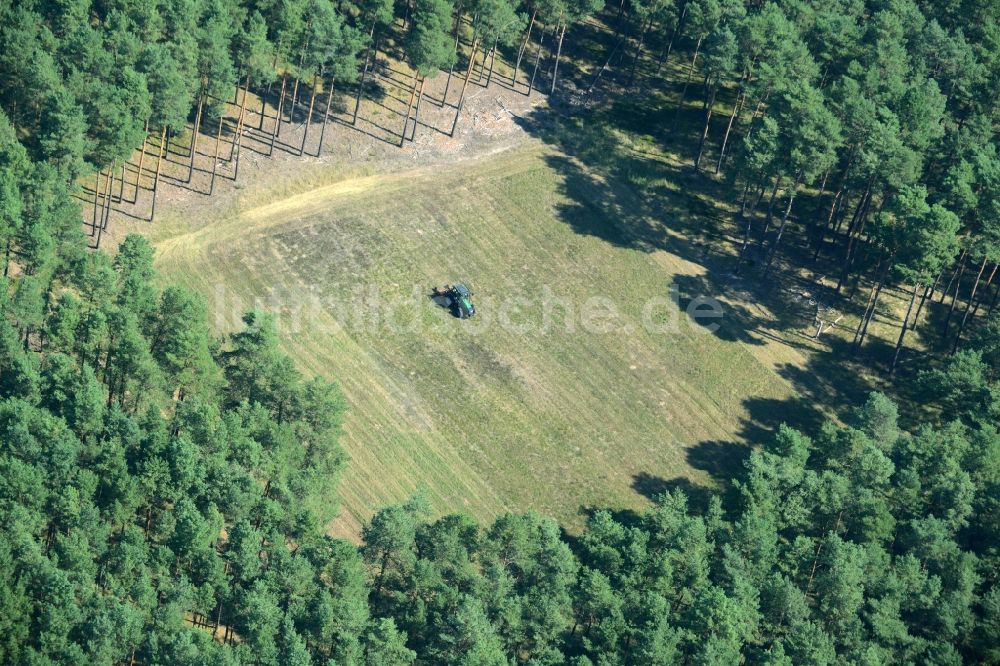 Spreenhagen aus der Vogelperspektive: Viereckige Grasflächen- Strukturen einer Feld- und Wiesen- Landschaft im Wald bei Spreenhagen im Bundesland Brandenburg