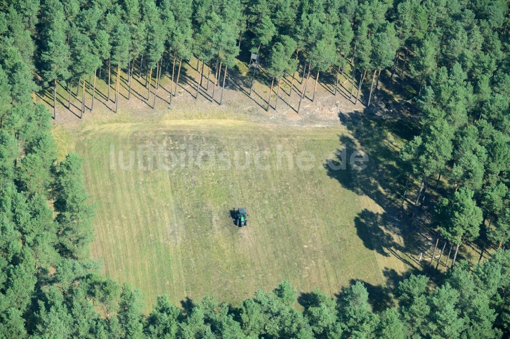 Luftbild Spreenhagen - Viereckige Grasflächen- Strukturen einer Feld- und Wiesen- Landschaft im Wald bei Spreenhagen im Bundesland Brandenburg