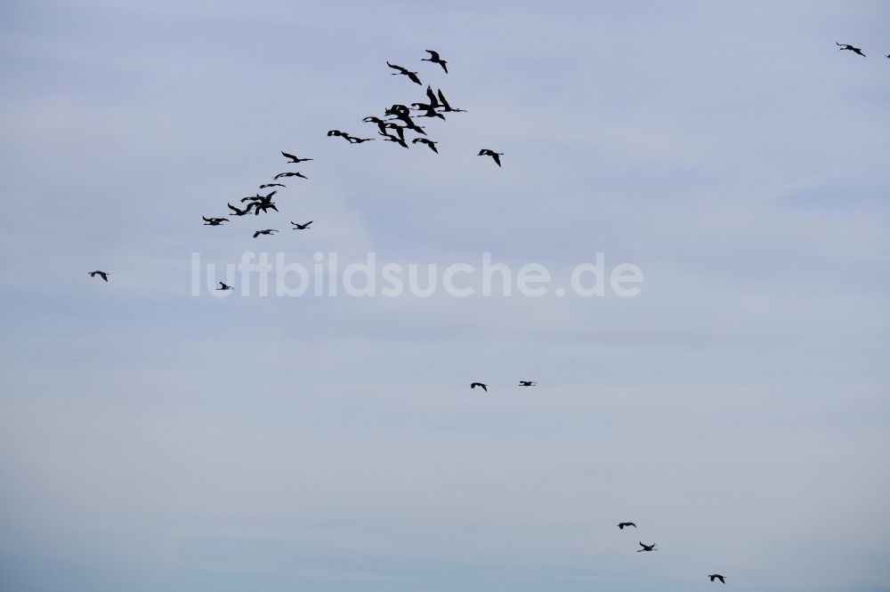 Wesertal von oben - Vogel- Formation von Kranichen im Flug in Wesertal im Bundesland Hessen, Deutschland