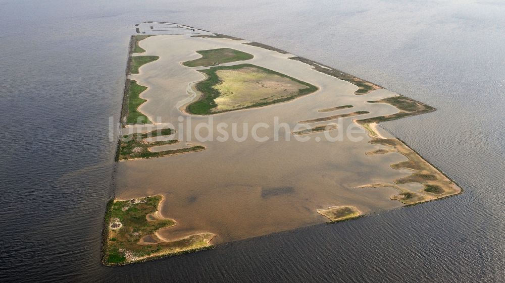 Luftaufnahme Andijk - Vogelinsel Kreupel in Andijk in Noord-Holland, Niederlande