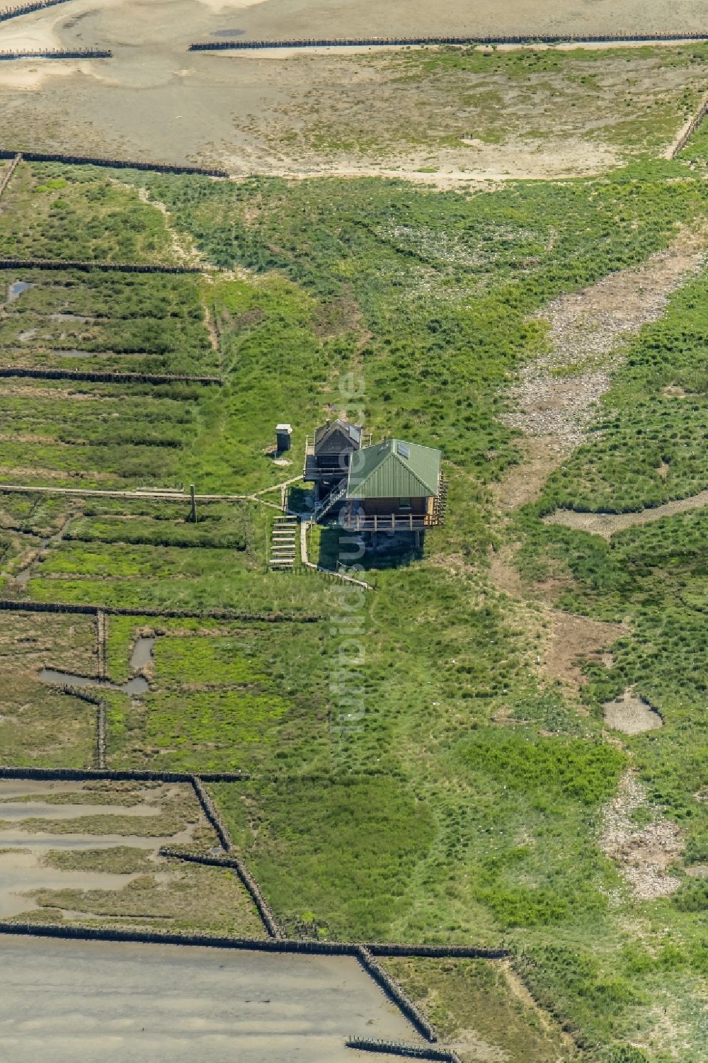 Norderoog von oben - Vogelschutzhaus, Grasflächen- Strukturen einer Hallig- Landschaft in Norderoog im Bundesland Schleswig-Holstein, Deutschland