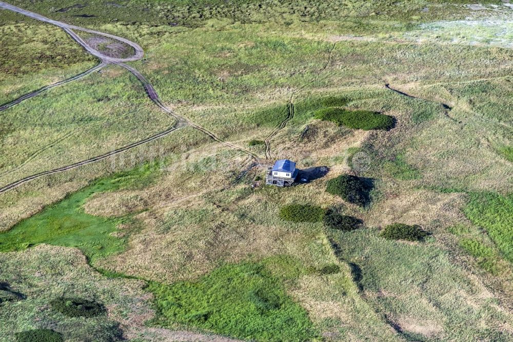 Luftbild Scharhörn - Vogelwarte auf der Insel Scharhörn in der Nordsee im Bundesland Hamburg, Deutschland