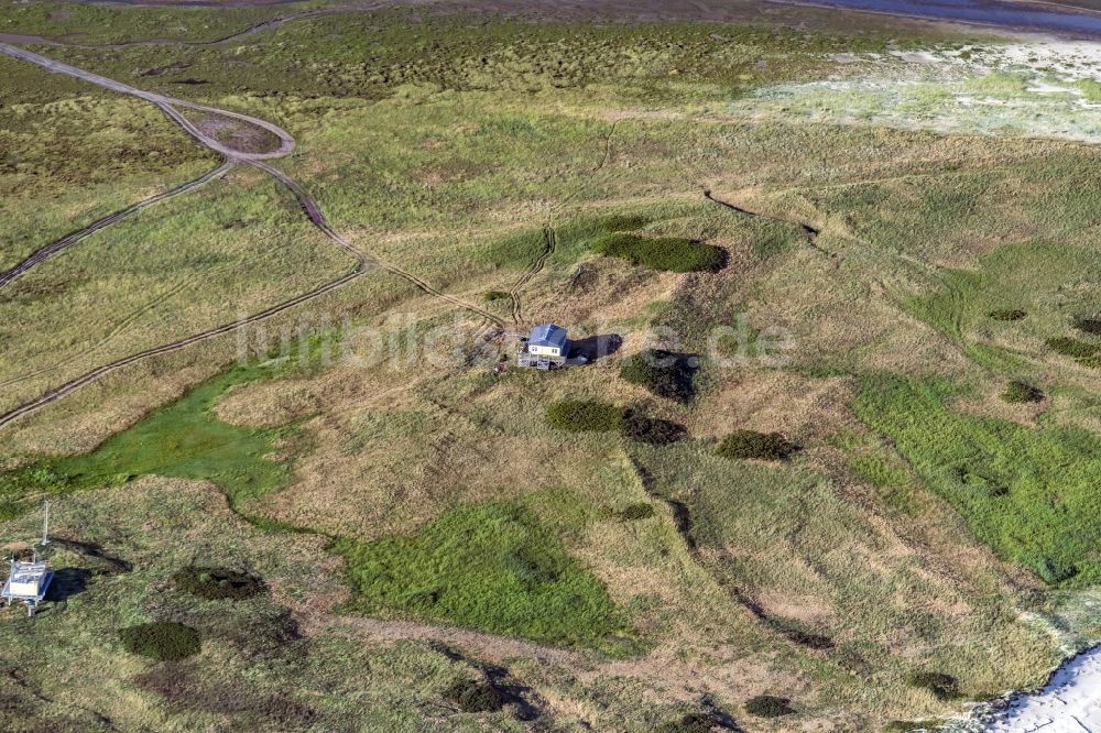 Luftaufnahme Scharhörn - Vogelwarte auf der Insel Scharhörn in der Nordsee im Bundesland Hamburg, Deutschland