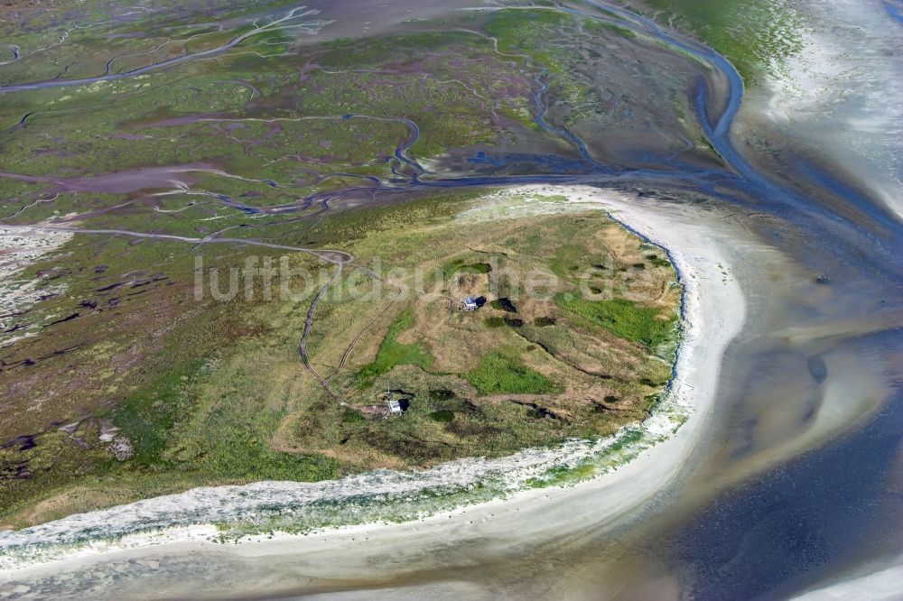 Luftaufnahme Scharhörn - Vogelwarte auf der Insel Scharhörn in der Nordsee im Bundesland Hamburg, Deutschland