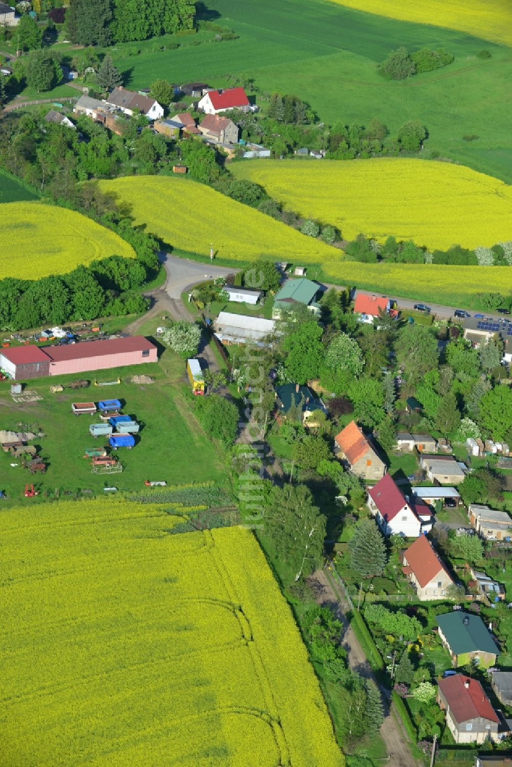 Wriezen Ortsteil Biesdorf aus der Vogelperspektive: Von blühenden gelben Rapsfeldern umgebener Dorfkern der Ortschaft Biesdorf, einem Ortsteil von Wriezen im Bundesland Brandenburg