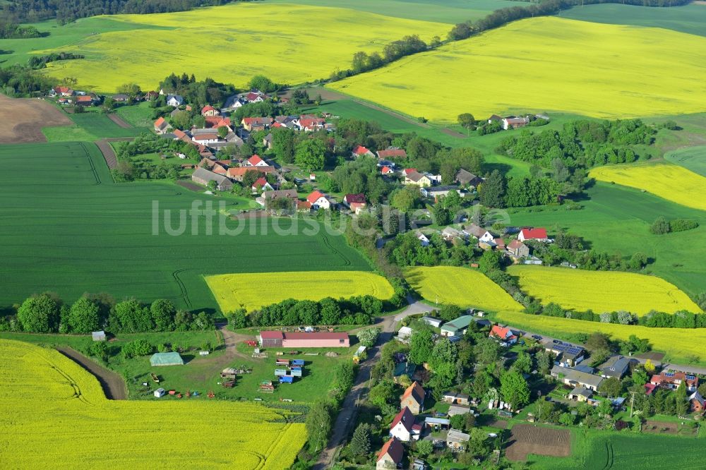 Wriezen Ortsteil Biesdorf von oben - Von blühenden gelben Rapsfeldern umgebener Dorfkern der Ortschaft Biesdorf, einem Ortsteil von Wriezen im Bundesland Brandenburg