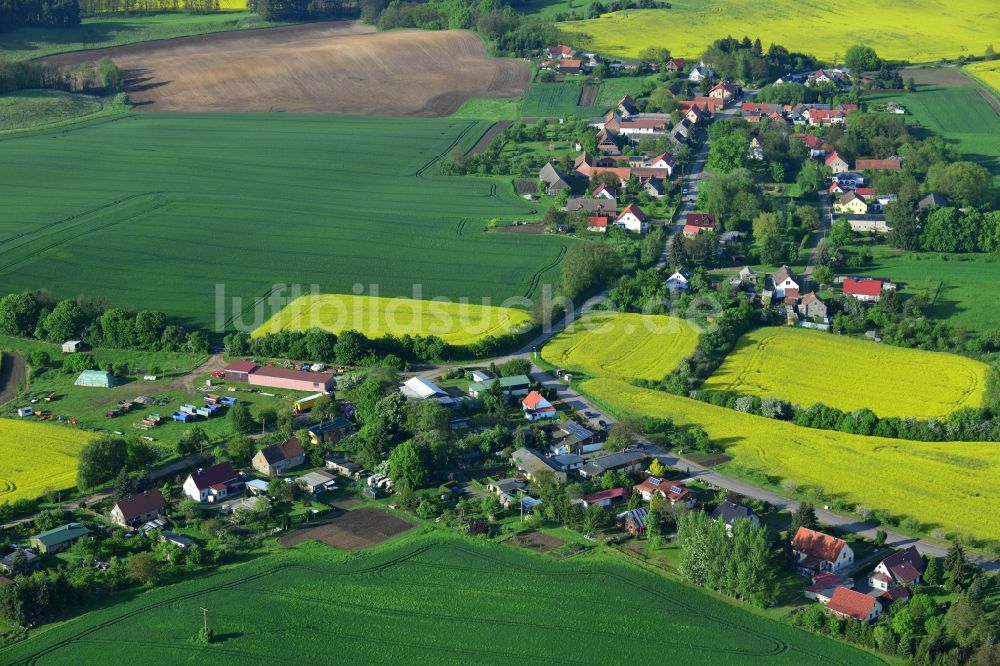 Wriezen Ortsteil Biesdorf aus der Vogelperspektive: Von blühenden gelben Rapsfeldern umgebener Dorfkern der Ortschaft Biesdorf, einem Ortsteil von Wriezen im Bundesland Brandenburg