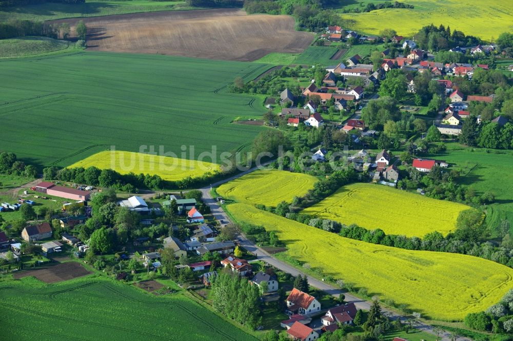 Luftbild Wriezen Ortsteil Biesdorf - Von blühenden gelben Rapsfeldern umgebener Dorfkern der Ortschaft Biesdorf, einem Ortsteil von Wriezen im Bundesland Brandenburg