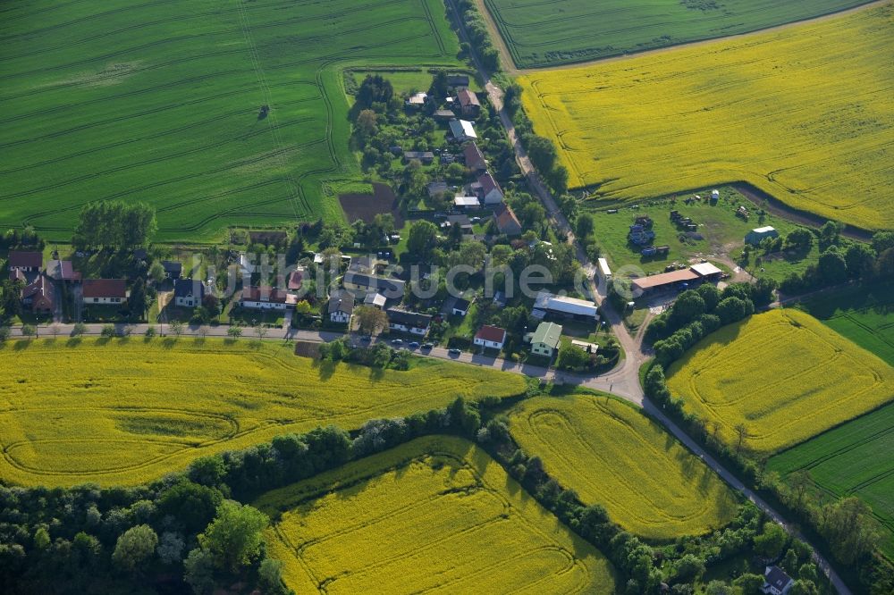 Wriezen Ortsteil Biesdorf aus der Vogelperspektive: Von blühenden gelben Rapsfeldern umgebener Dorfkern der Ortschaft Biesdorf, einem Ortsteil von Wriezen im Bundesland Brandenburg