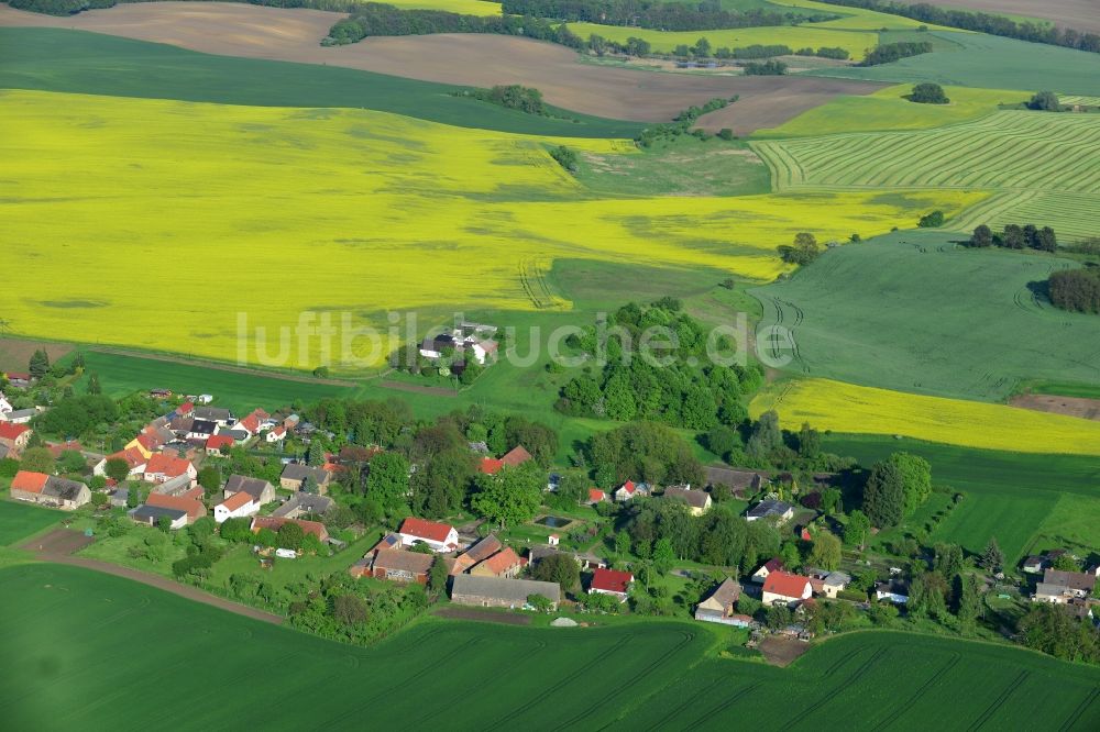 Luftaufnahme Wriezen Ortsteil Biesdorf - Von blühenden gelben Rapsfeldern umgebener Dorfkern der Ortschaft Biesdorf, einem Ortsteil von Wriezen im Bundesland Brandenburg