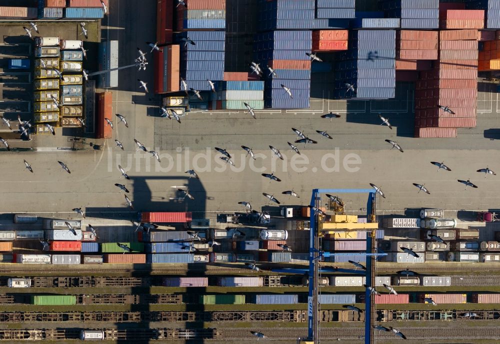 Luftbild Duisburg - Von Kranich- Vogelschwarm überflogenes Containerterminal am Logport I der Duisport in Duisburg - West im Ruhrgebiet im Bundesland Nordrhein-Westfalen NRW