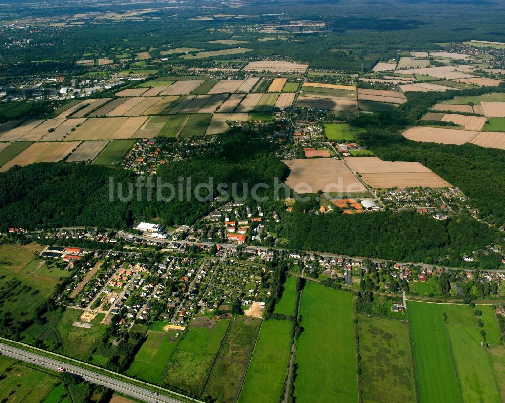 Luftbild Börnsen - Von Wald umgebene Ortsansicht in Börnsen im Bundesland Schleswig-Holstein, Deutschland