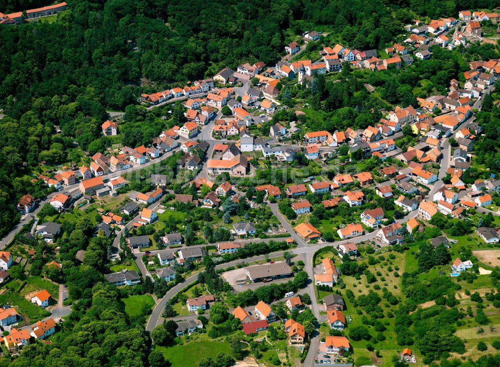 Dannenfels aus der Vogelperspektive: Von Wald umgebene Ortsansicht in Dannenfels im Bundesland Rheinland-Pfalz, Deutschland