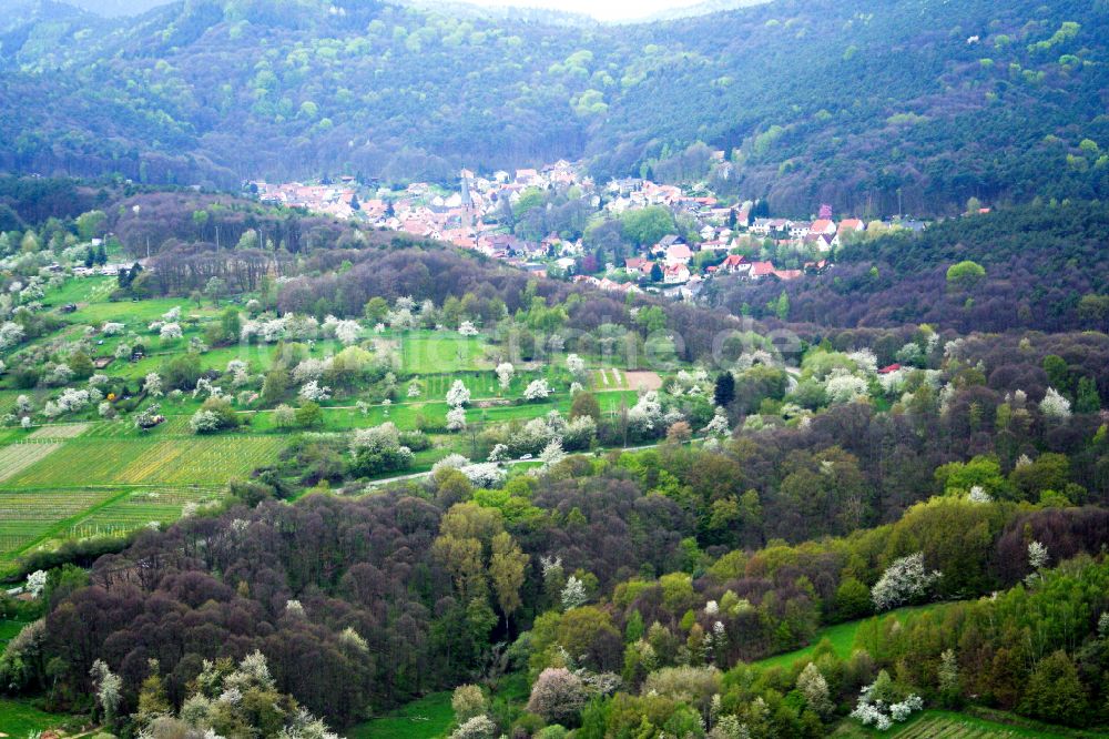 Dörrenbach aus der Vogelperspektive: Von Wald umgebene Ortsansicht in Dörrenbach im Bundesland Rheinland-Pfalz, Deutschland