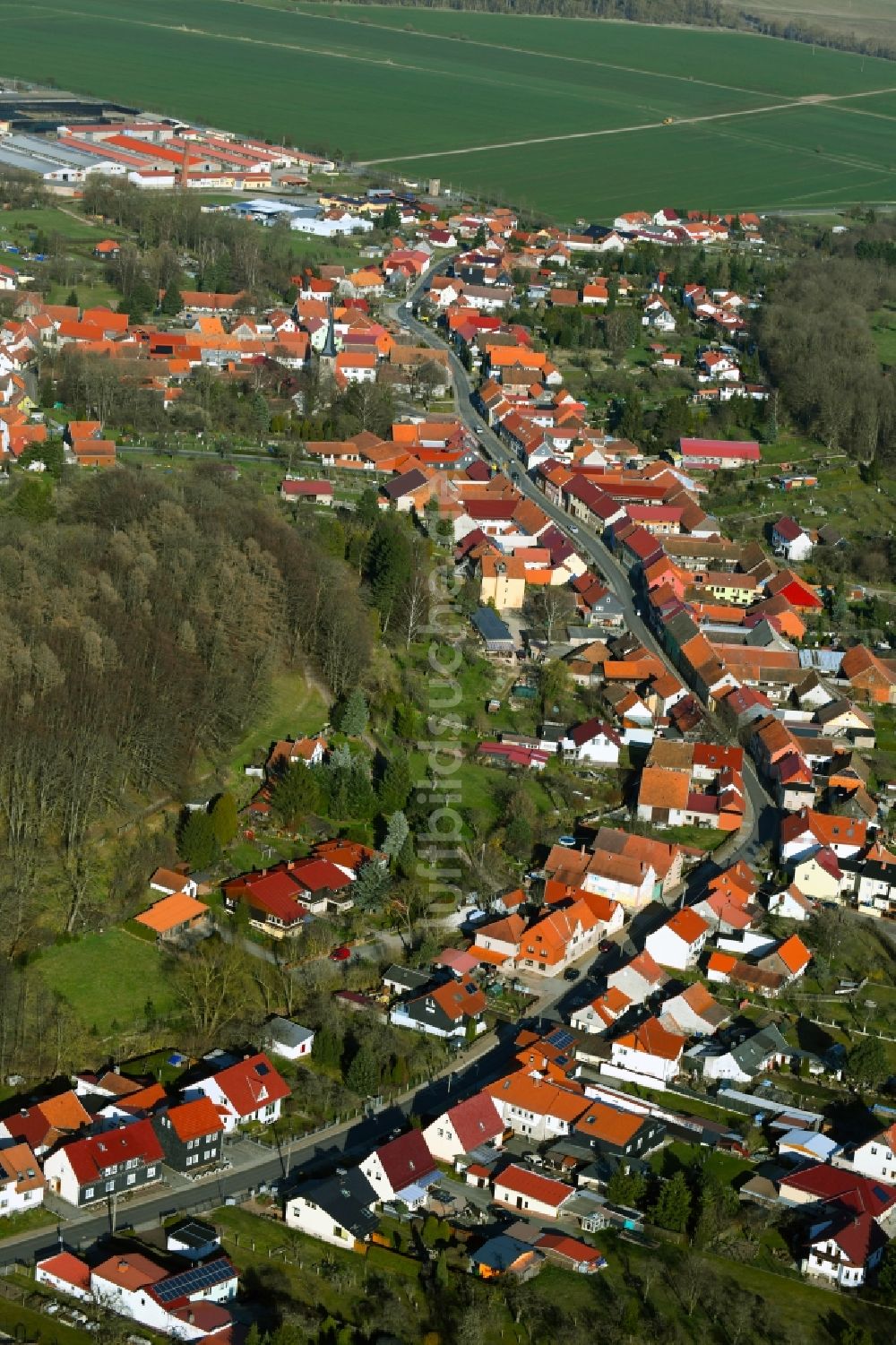 Luftbild Ernstroda - Von Wald umgebene Ortsansicht in Ernstroda im Bundesland Thüringen, Deutschland