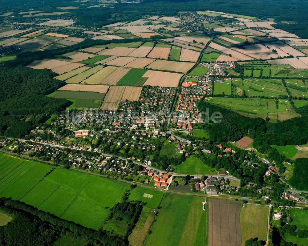 Escheburg aus der Vogelperspektive: Von Wald umgebene Ortsansicht in Escheburg im Bundesland Schleswig-Holstein, Deutschland