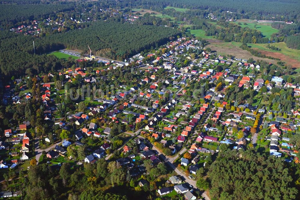 Luftbild Friedrichsthal - Von Wald umgebene Ortsansicht in Friedrichsthal im Bundesland Brandenburg, Deutschland