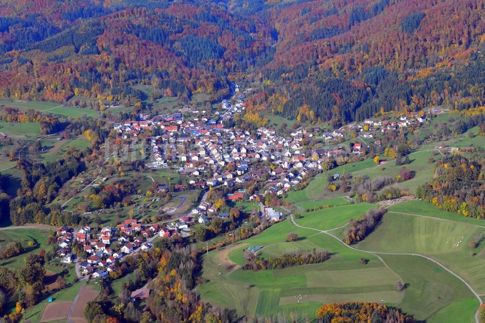 Luftaufnahme Hasel - Von Wald umgebene Ortsansicht in Hasel im Bundesland Baden-Württemberg, Deutschland