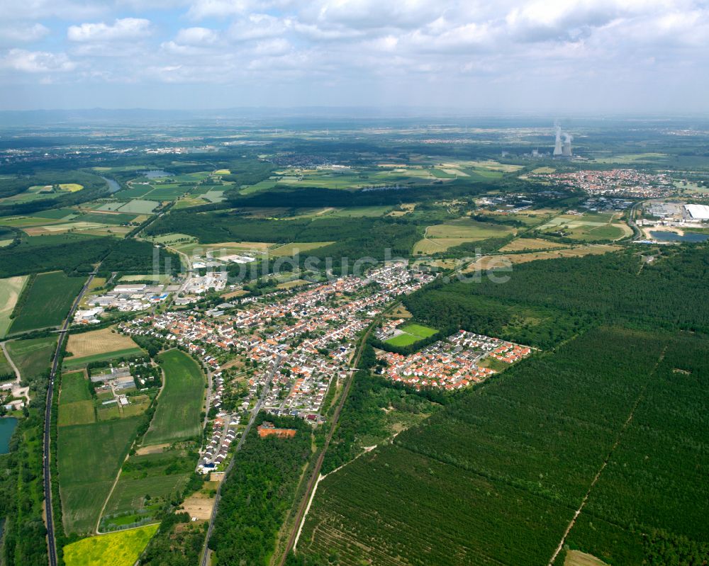 Huttenheim von oben - Von Wald umgebene Ortsansicht in Huttenheim im Bundesland Baden-Württemberg, Deutschland