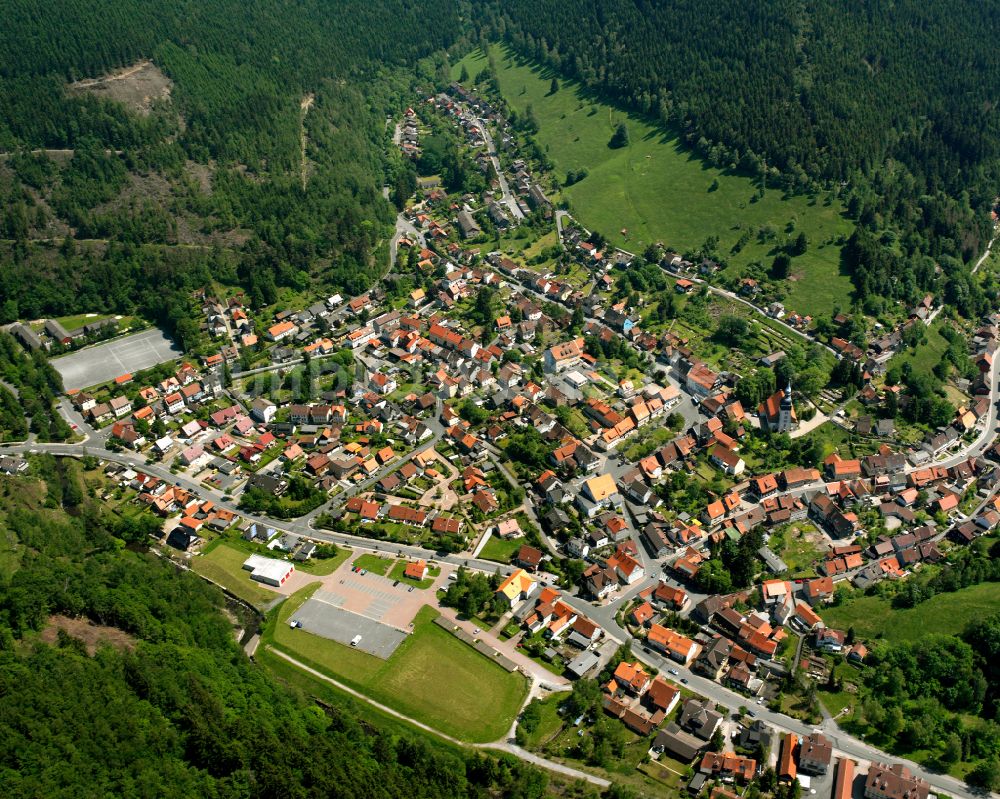 Lautenthal von oben - Von Wald umgebene Ortsansicht in Lautenthal im Bundesland Niedersachsen, Deutschland