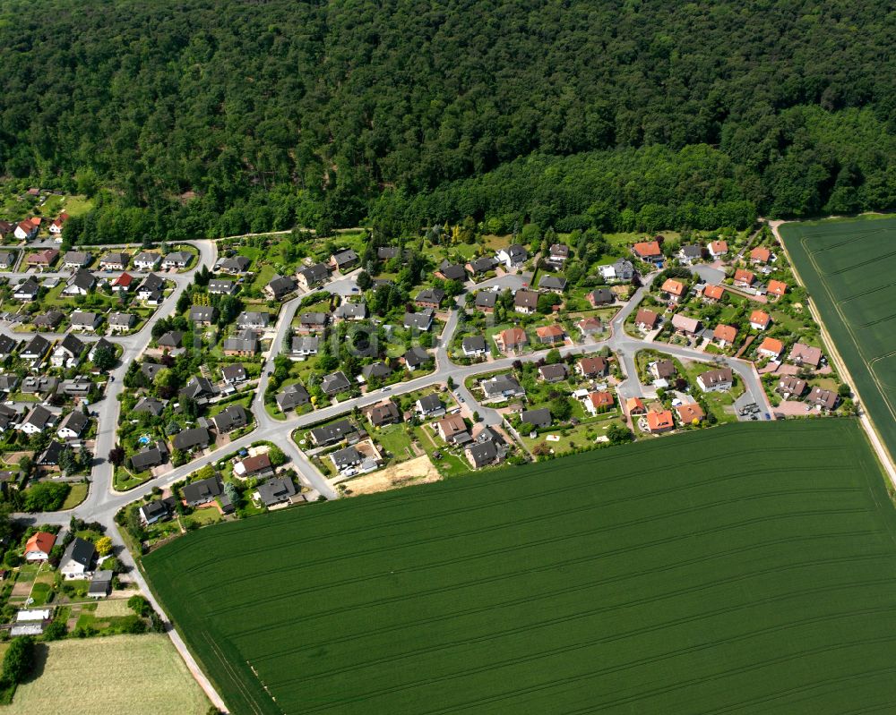 Luftbild Liebenburg - Von Wald umgebene Ortsansicht in Liebenburg im Bundesland Niedersachsen, Deutschland