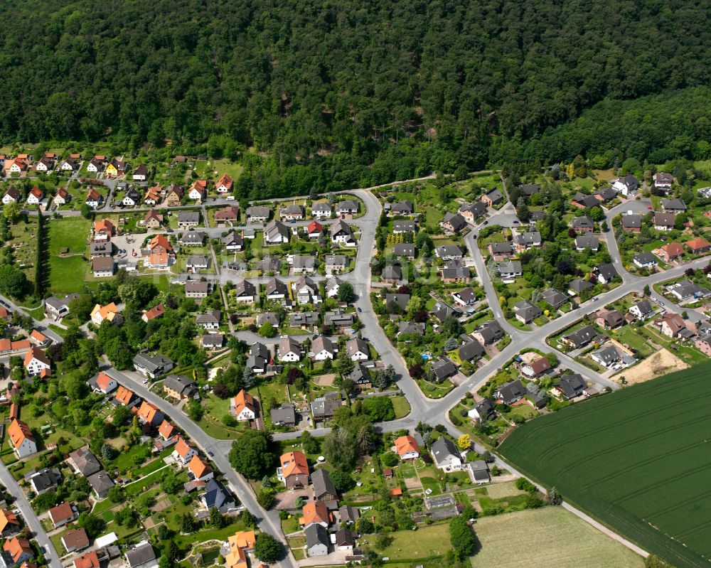 Luftbild Liebenburg - Von Wald umgebene Ortsansicht in Liebenburg im Bundesland Niedersachsen, Deutschland