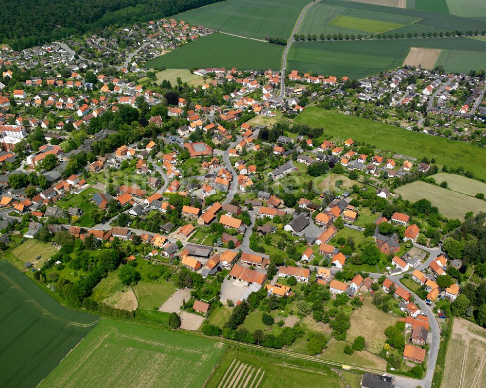 Liebenburg aus der Vogelperspektive: Von Wald umgebene Ortsansicht in Liebenburg im Bundesland Niedersachsen, Deutschland