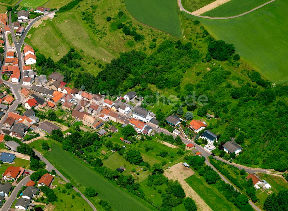 Luftbild Münsterappel - Von Wald umgebene Ortsansicht in Münsterappel im Bundesland Rheinland-Pfalz, Deutschland