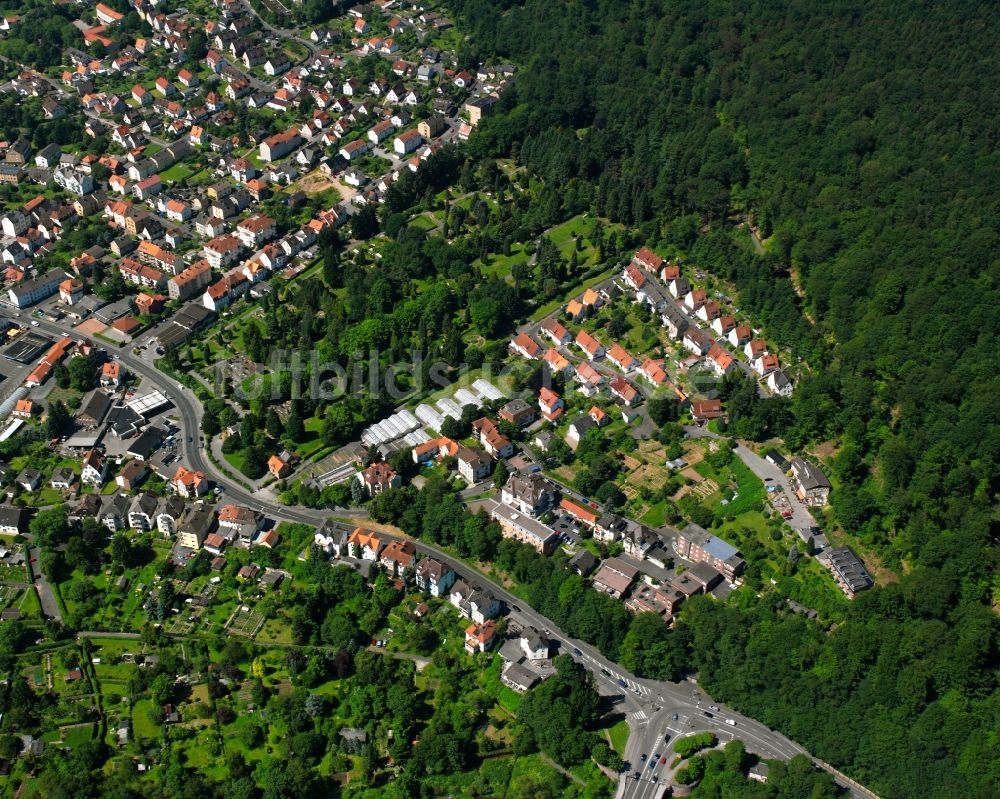 Neumünden von oben - Von Wald umgebene Ortsansicht in Neumünden im Bundesland Niedersachsen, Deutschland