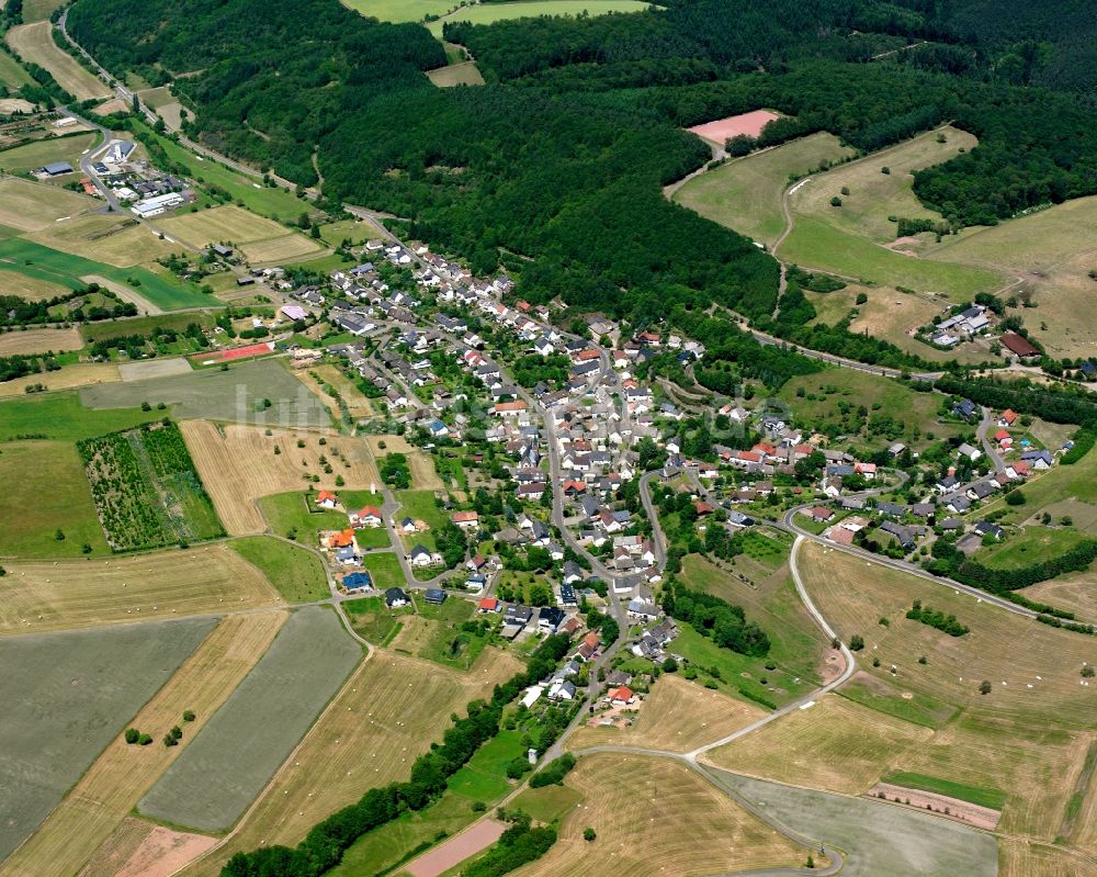 Oberreidenbach aus der Vogelperspektive: Von Wald umgebene Ortsansicht in Oberreidenbach im Bundesland Rheinland-Pfalz, Deutschland