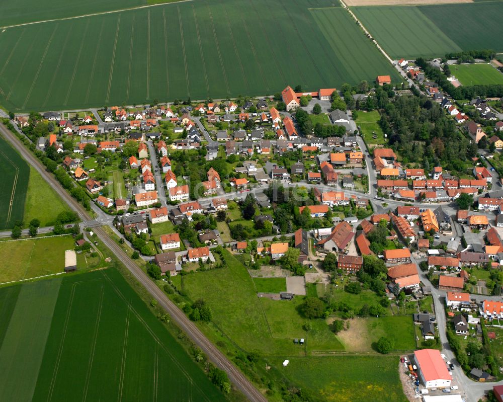 Othfresen aus der Vogelperspektive: Von Wald umgebene Ortsansicht in Othfresen im Bundesland Niedersachsen, Deutschland