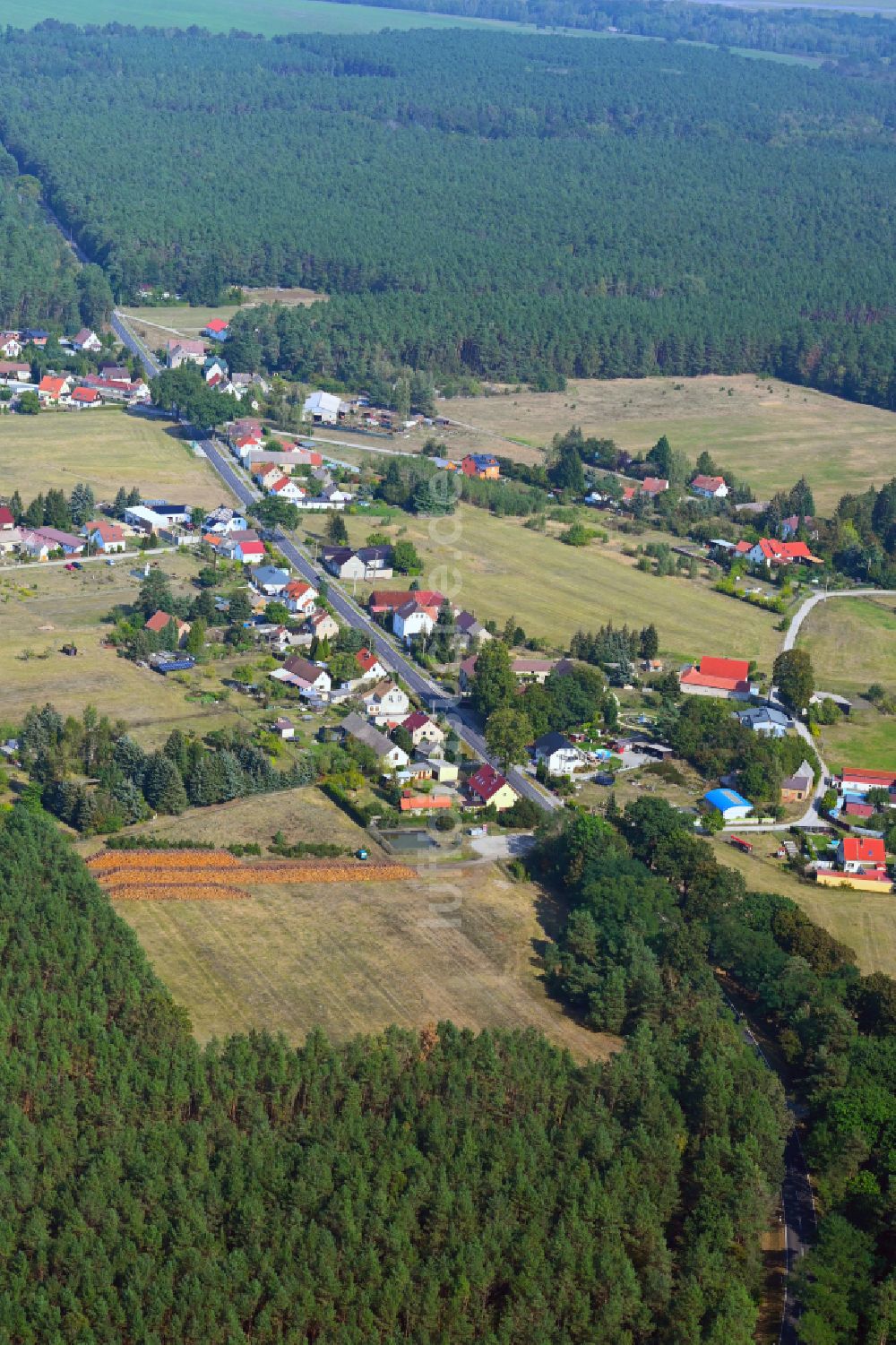 Luftbild Pechhütte - Von Wald umgebene Ortsansicht in Pechhütte im Bundesland Brandenburg, Deutschland