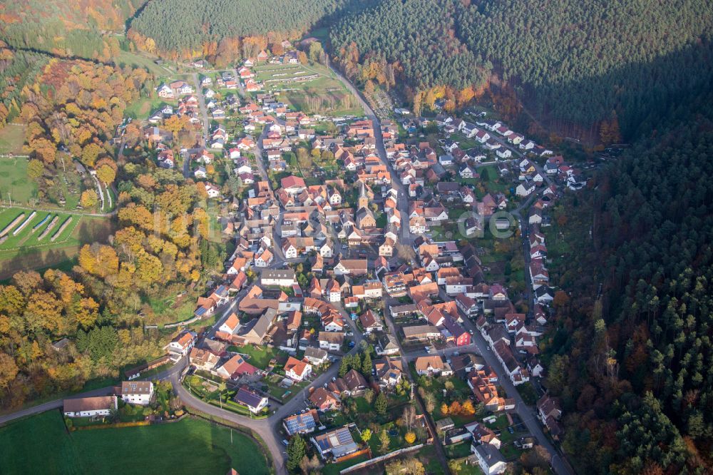 Luftaufnahme Vorderweidenthal - Von Wald umgebene Ortsansicht in Vorderweidenthal im Bundesland Rheinland-Pfalz, Deutschland