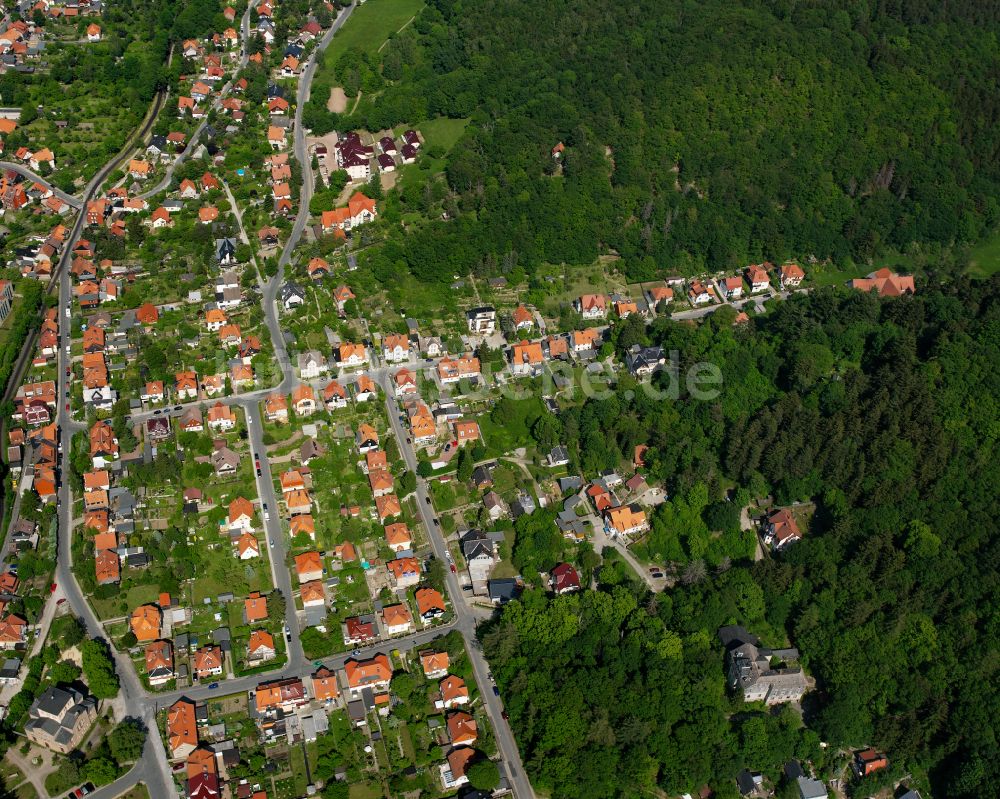 Wernigerode von oben - Von Wald umgebene Ortsansicht in Wernigerode im Bundesland Sachsen-Anhalt, Deutschland