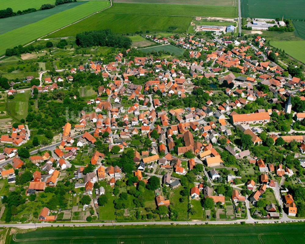 Luftaufnahme Langeln - Von Waldflächen umsäumtes Stadtgebiet in Langeln im Bundesland Sachsen-Anhalt, Deutschland